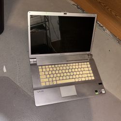 Sony Vivo Laptop Untested