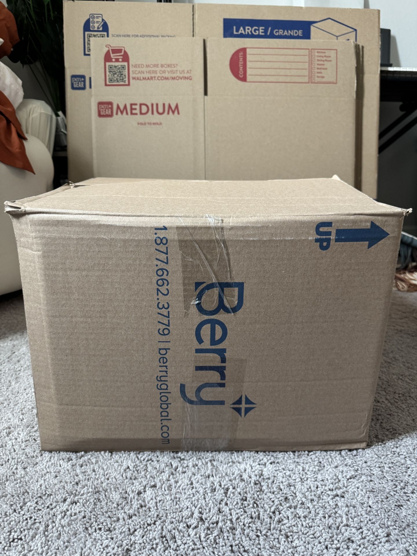 Mystery box! 