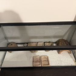 20 Gallon Tank Long With Top Screen 