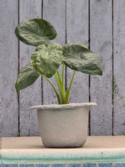 Concrete Plant Pot