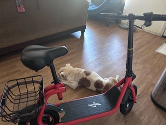 Electric scooter