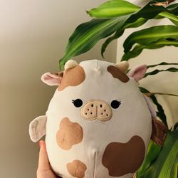 mopey squishmallow 8”