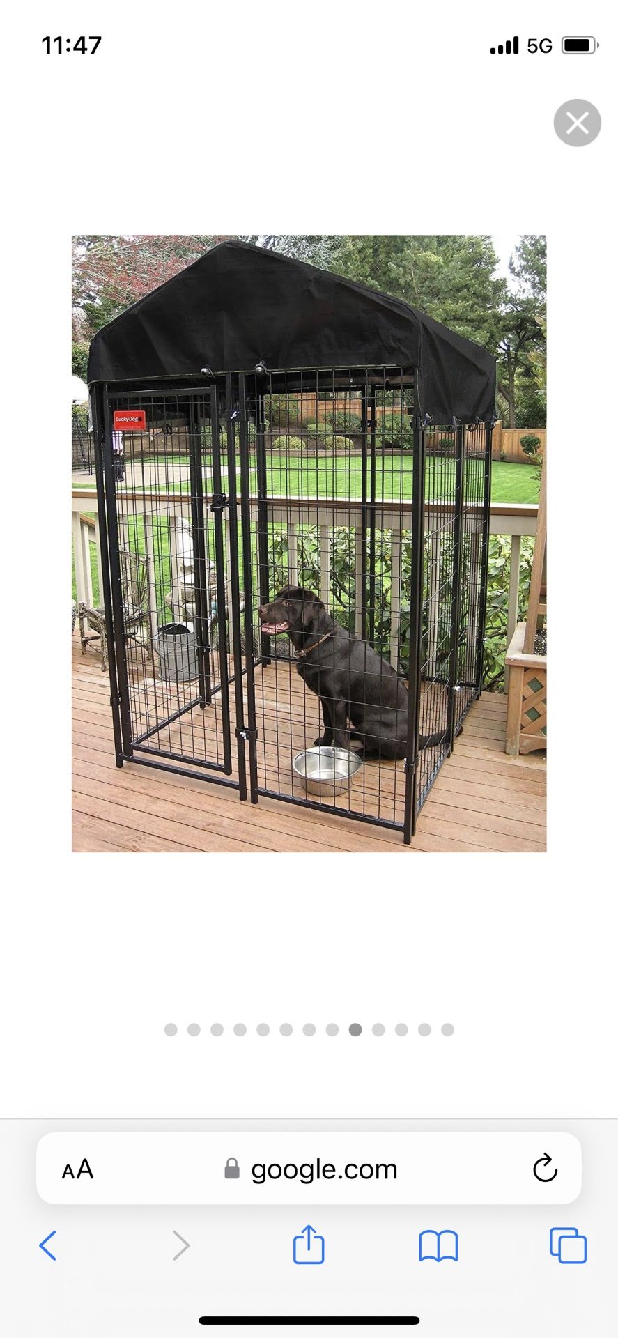 Kennel