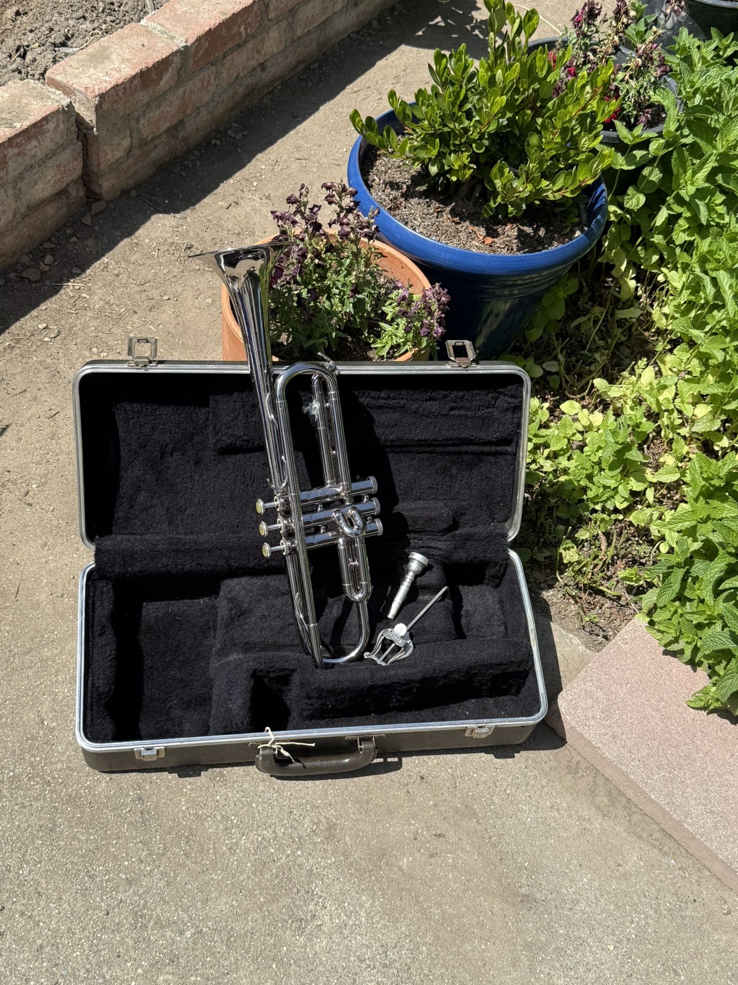 Bundy Trumpet 🎺