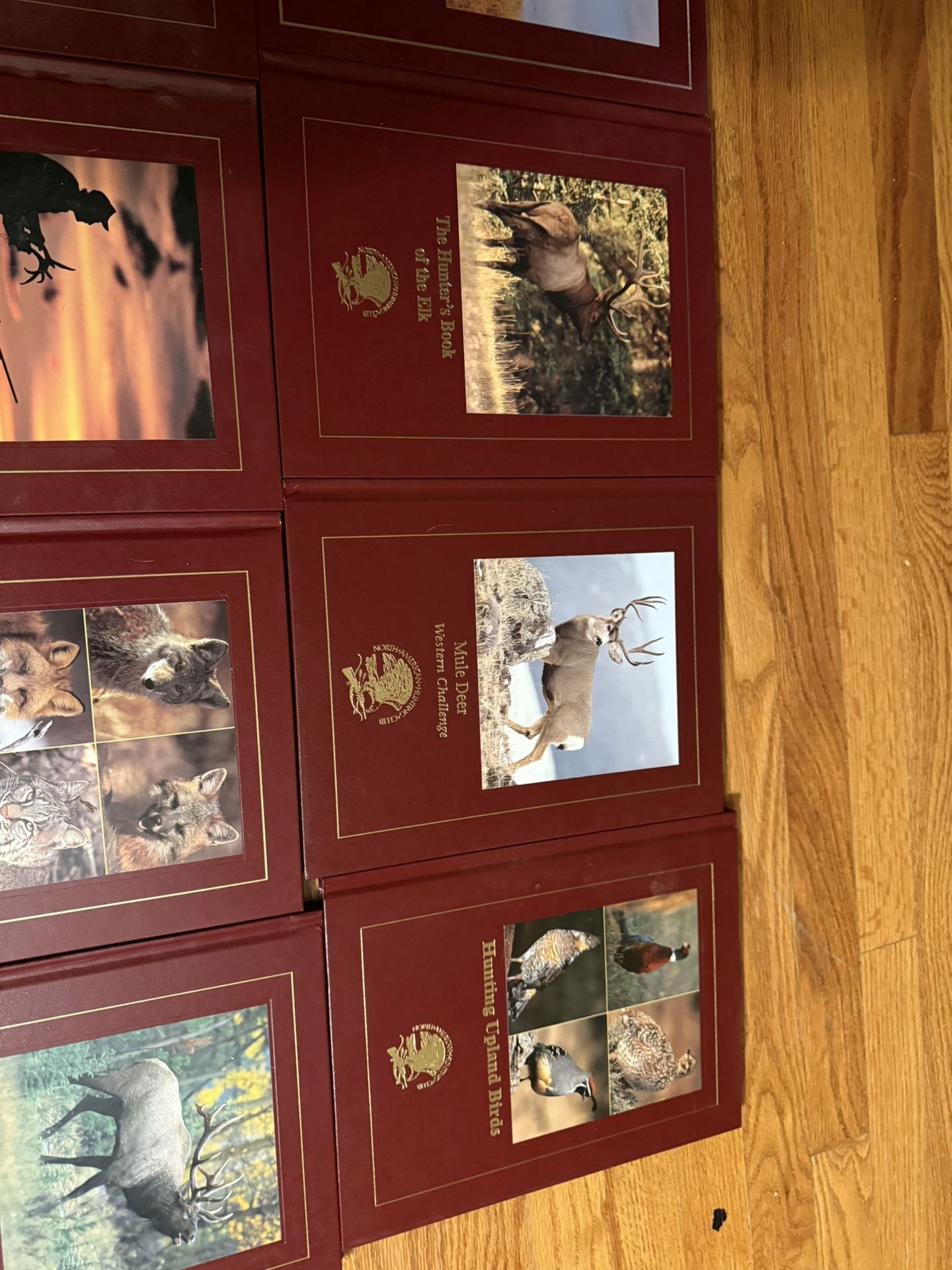 Set Of 12 North American Hunting Club Books