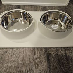 Dog Dishes With Mat