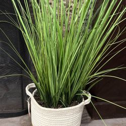 2 Artificial Plants For Decoration 