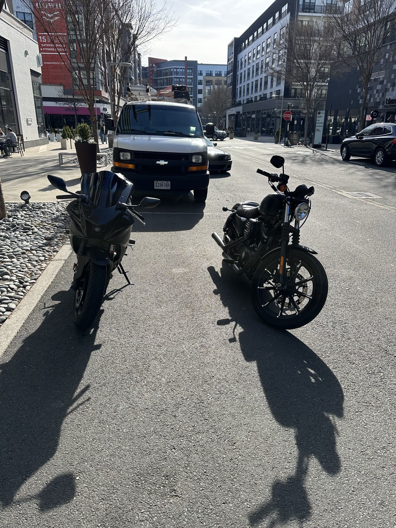 2022 Harley Davidson Iron 883