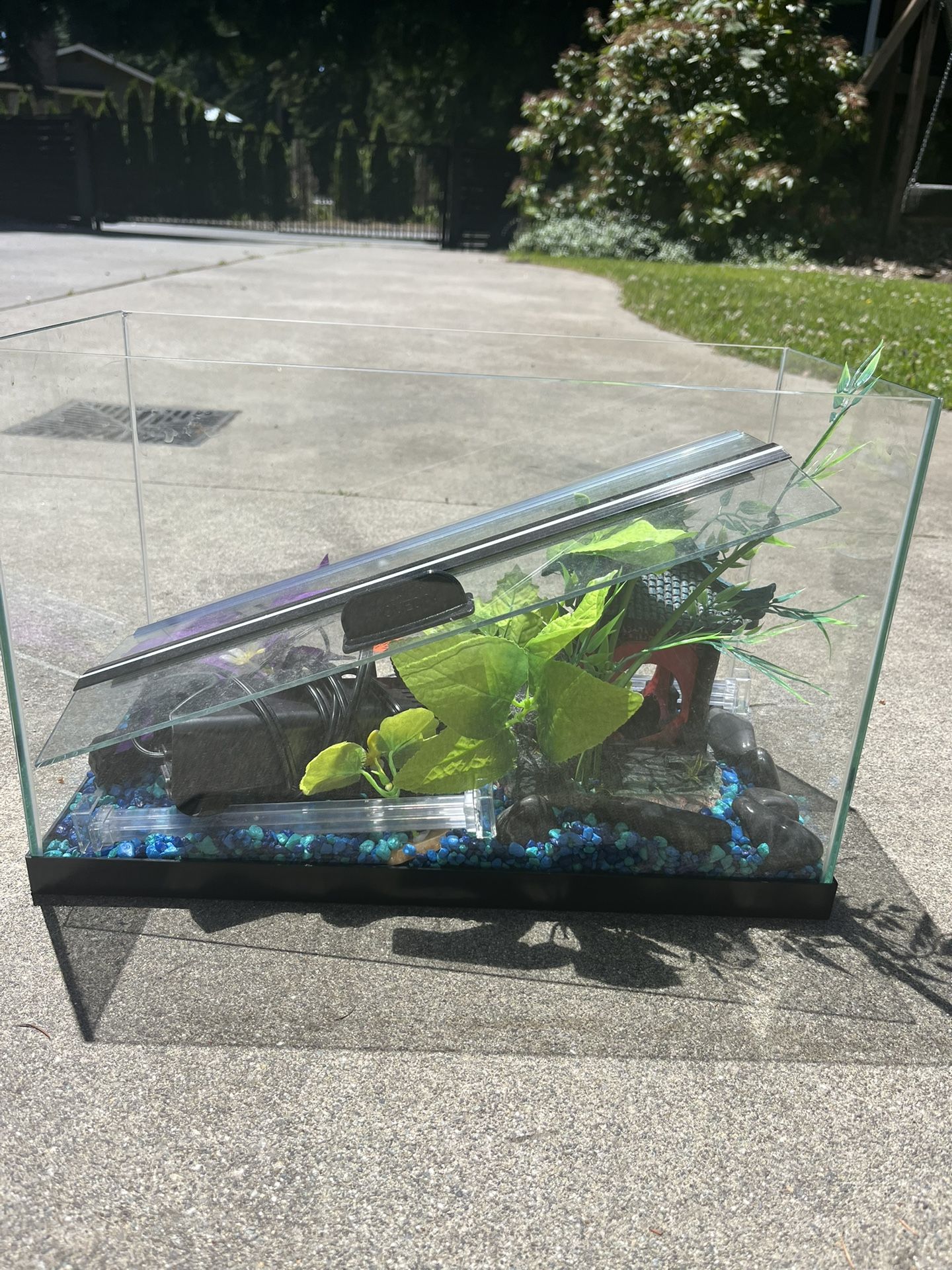 10 Gallon Fish Tank 