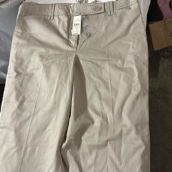 Ann Taylor Loft Woman’s Size 12 New