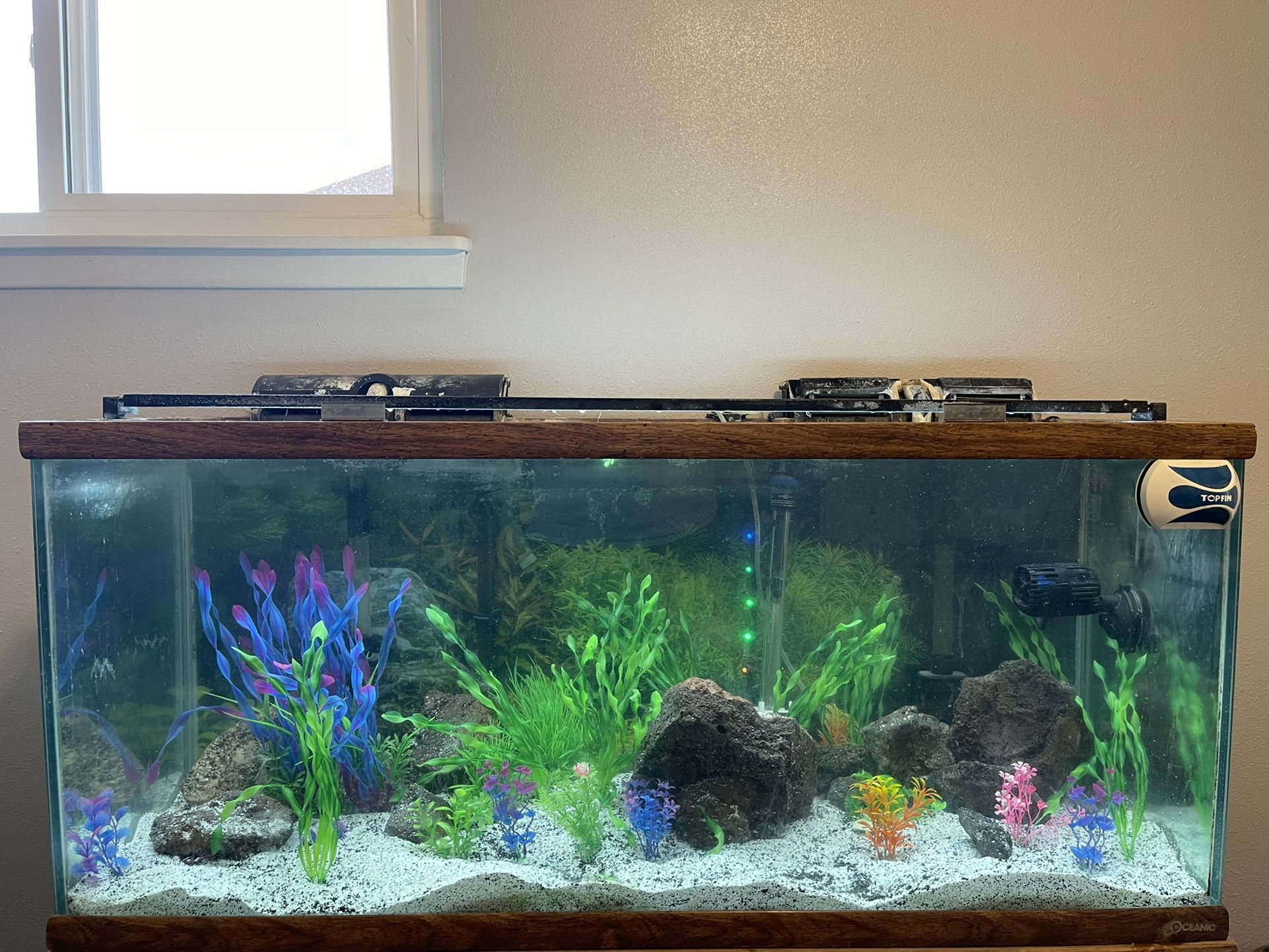 90 Gal Oceanic Fish tank