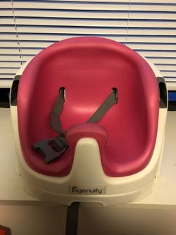 Ingenuity Booster Seat