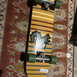 Skateboard w/ Cruiser wheels