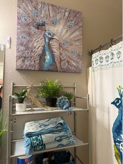 Peacock bathroom lot