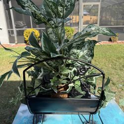 Metal plant basket with silk plant