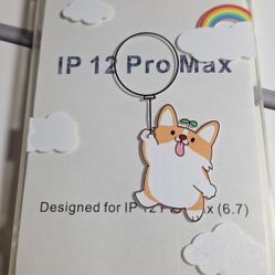 Case IPhone 12 Pro Max
