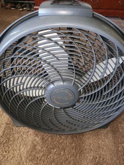 20" lasko fan