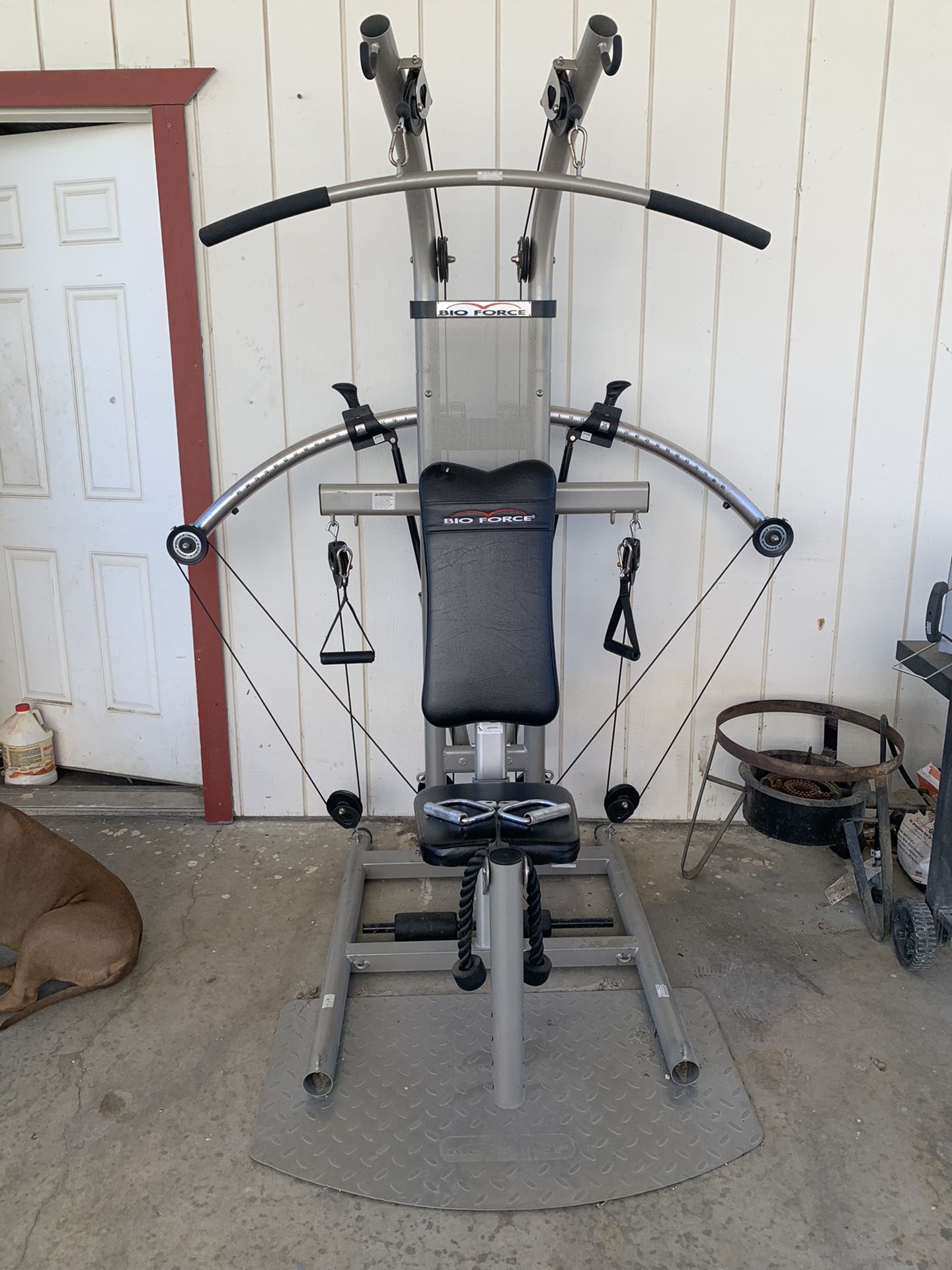 Bio Force At Home Gym Workout Machine for Sale in Nuevo, CA - OfferUp