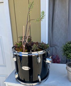 Drum plants