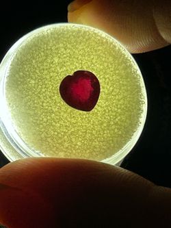 2.42 Ct. Natural untreated faceted ruby!