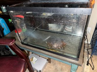 Glass Aquarium turtle tank as pictured