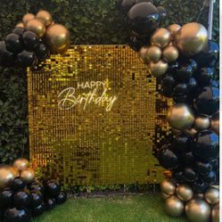 Sequin Backdrops 