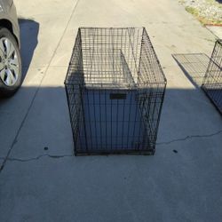 Large Dog 🐩Crate 