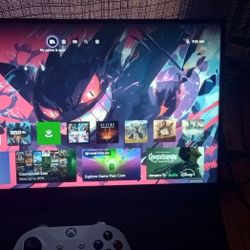 Acer Portable Monitor