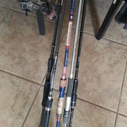 5 Spinning Rods & 1 Casting Rod