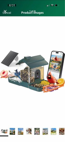Bird bath and bird feeder with cameras solar powered 2k dual cameras birds 2 and 1