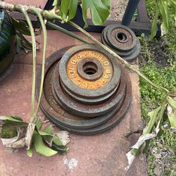 Weights - 295#’s worth