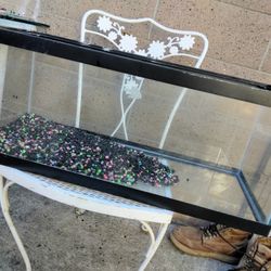 20 Gallon Aquarium 