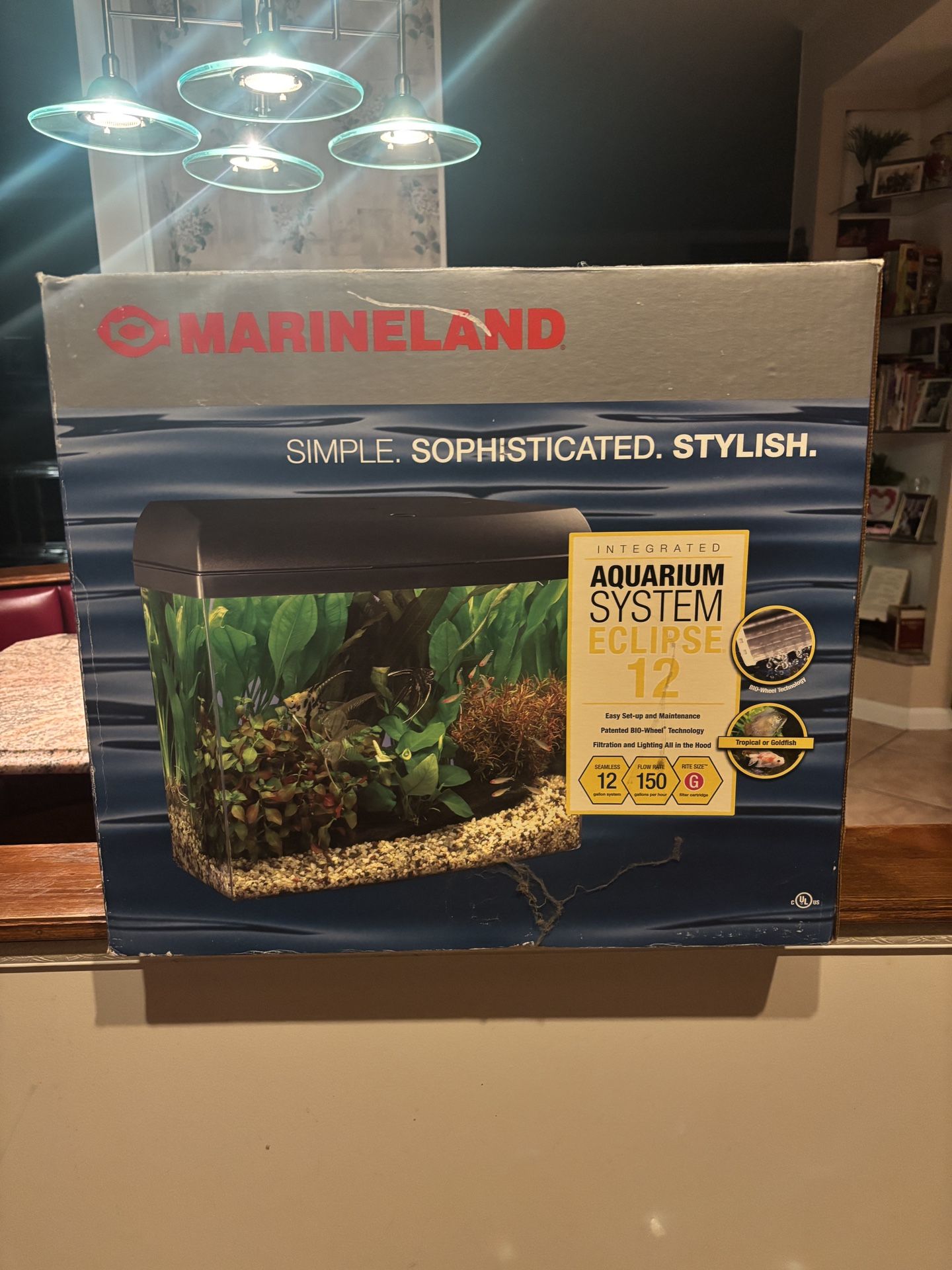 12 Gallon Fish Tank 