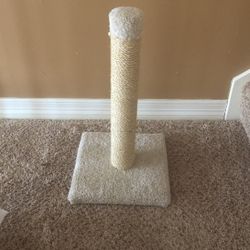Cat Scratch Pole