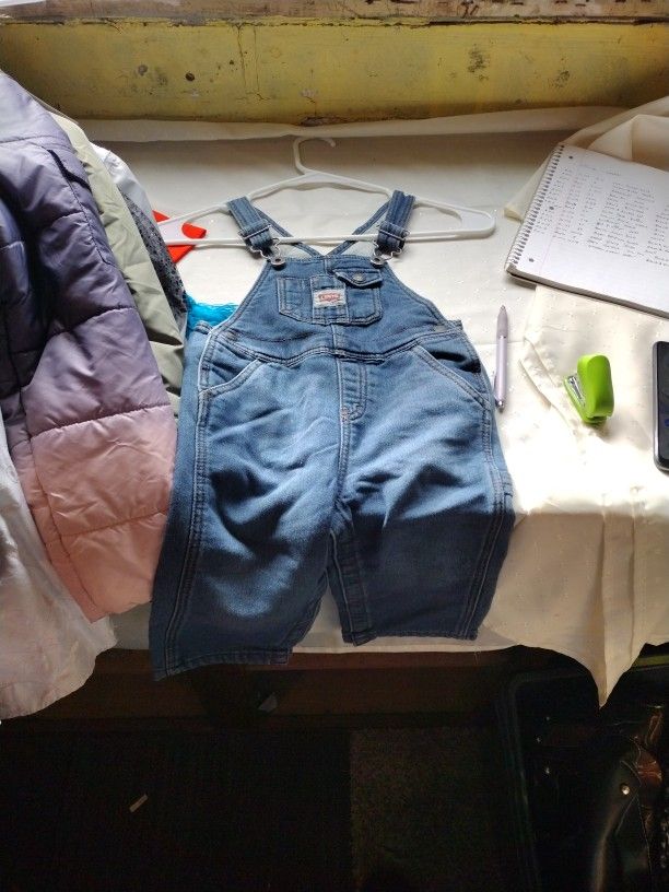 Levi Overalls
