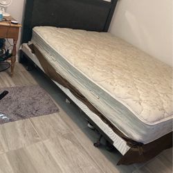 Bed Frame Only Black With Mirror Head Board Queen