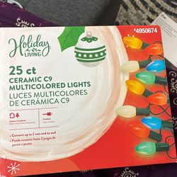 Holiday Living 25 Ct Ceramic C9 Multicolored Lights