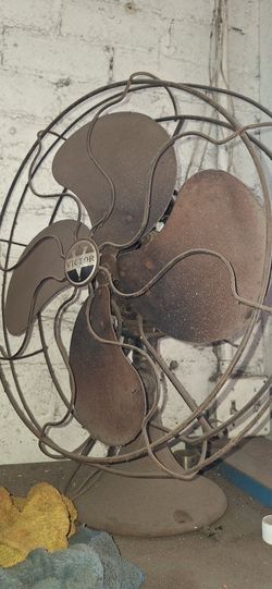 Fan