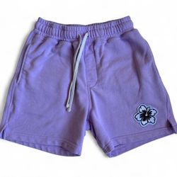Mens Forever 21 Classic Athletic  Cargo Shorts Purple Size Small