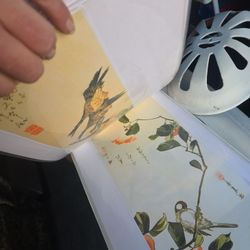 Asian Bird Art Prints – Elegant Home or Restaurant Decor