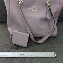 Coach Bag And Wallet 