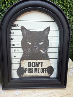 Funny cat picture