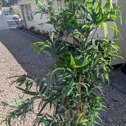 5'8" fake bamboo plant