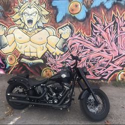 2016 Harley Davidson FLSS softail slim s