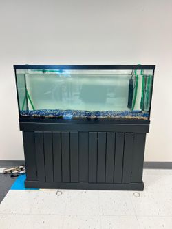 Fish Tank With Heater And Filter