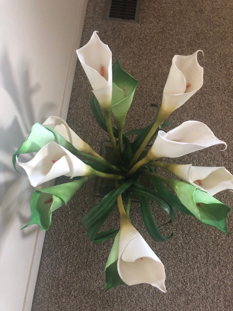 Fake Lilly Plant