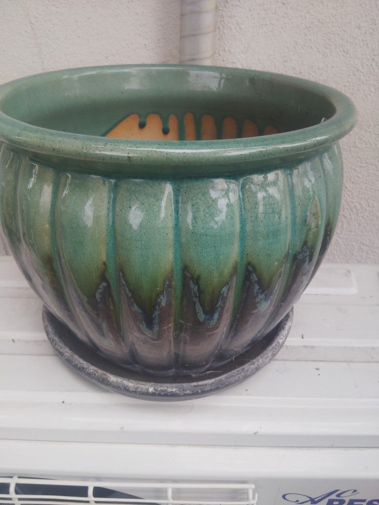 Flower Pot