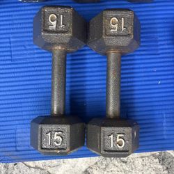 15lbs Dumbbell Pair