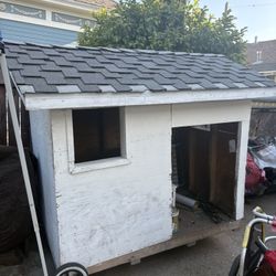 Dog House