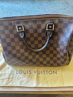 Louis Vuitton Damier Ebene Speedy 35 (lightly used)